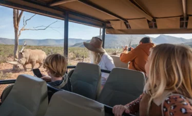 Family friendly big 5 safari rhino sighting aquila private game reserve