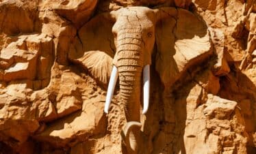 Shreekar lathiya 9m 5phcl1c unsplash