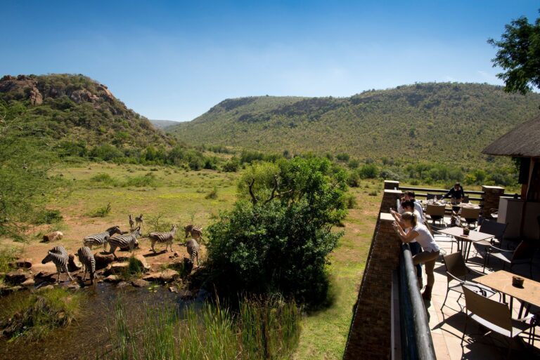 Kwa Maritane Bush Lodge — restaurant, zebra