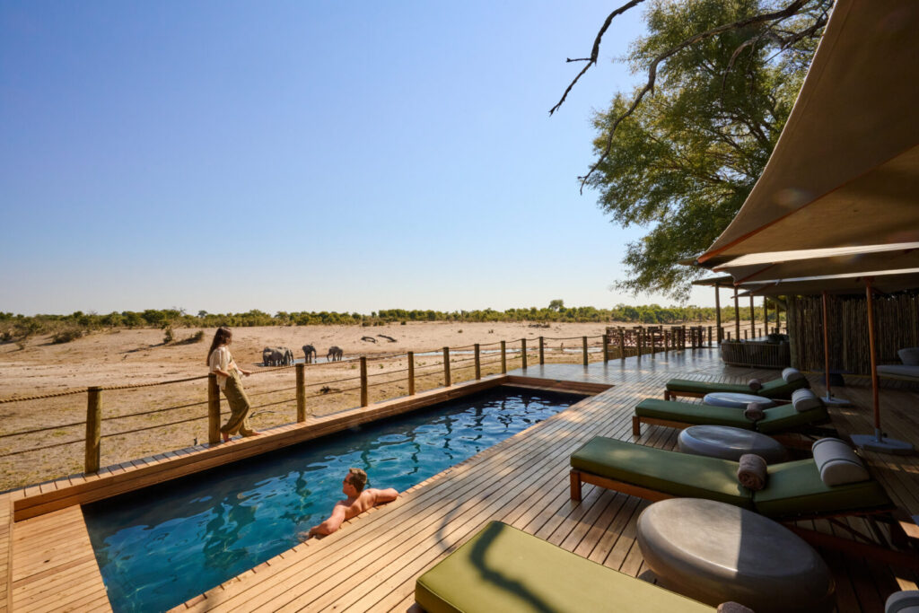 Savute Safari Lodge — swimming pool