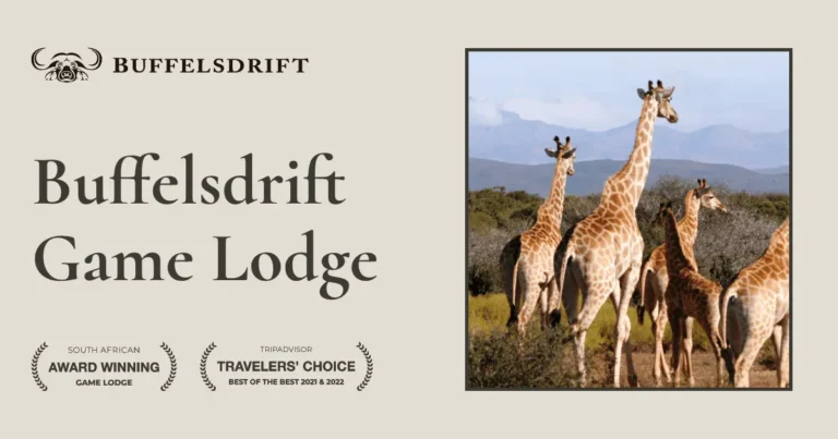 Buffelsdrift Game Lodge