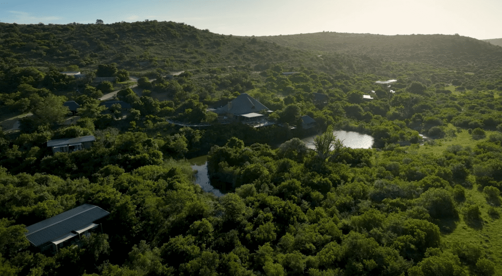 Shamwari Bayethe