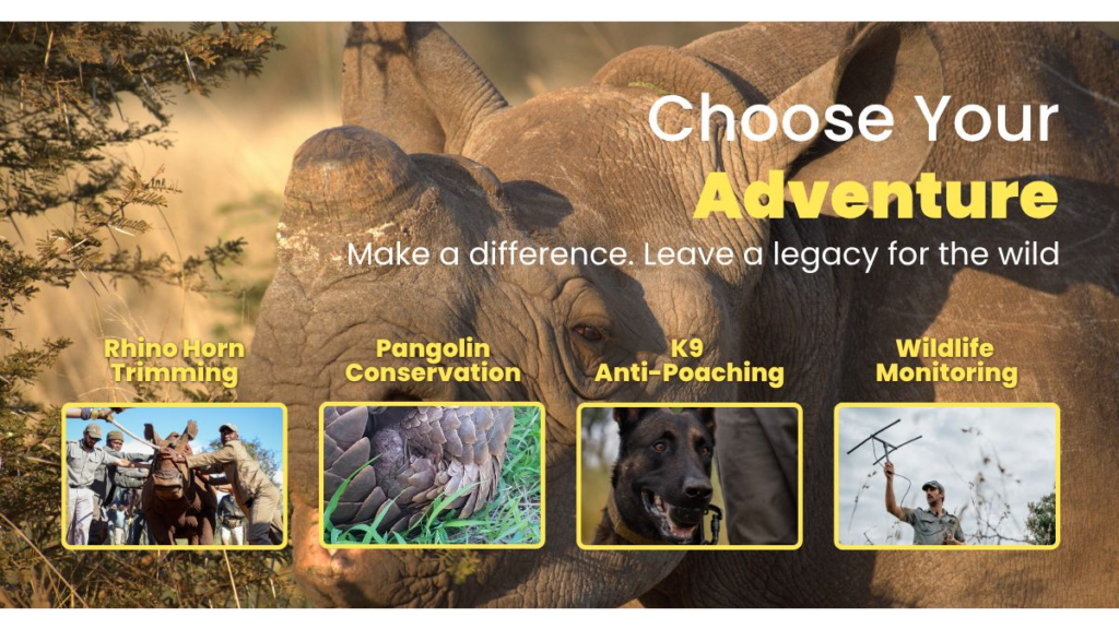 Leopard Mountain Safari Lodge – Best Conservation Safari in South Africa Where Your Safari Makes a Difference