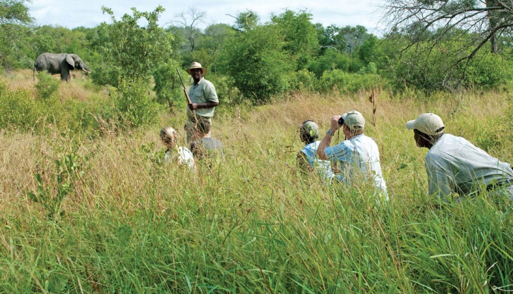 Nottens Bush Camp