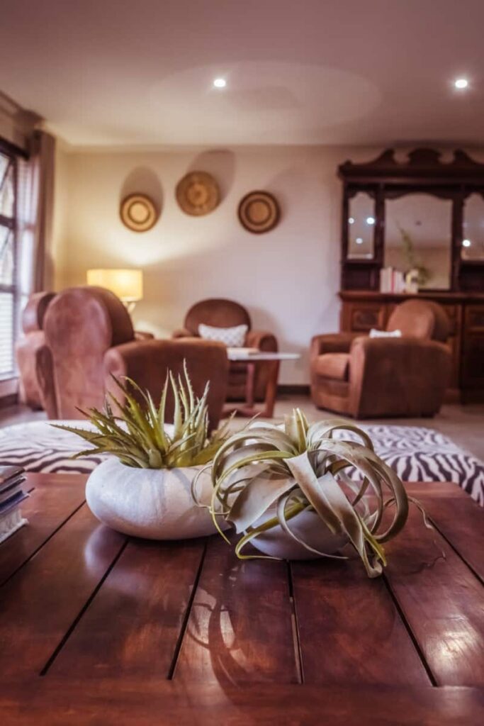 Bushveld Terrace Lodge – Hotel interior