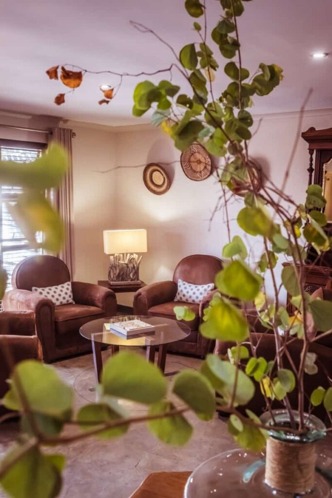 Bushveld Terrace Hotel – Hotel interior