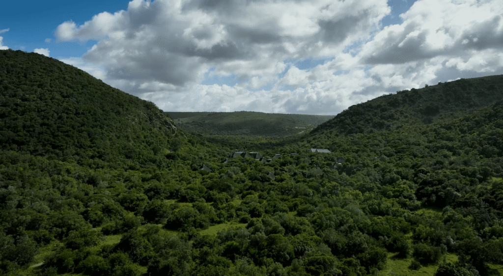 Shamwari Eagles Crag
