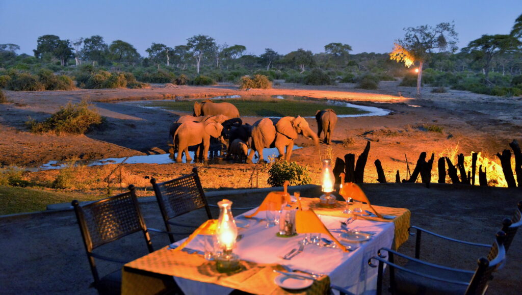 Dinner beside the waterhole at Elephant Valley Lodge, Chobe — elephants drinking at dusk