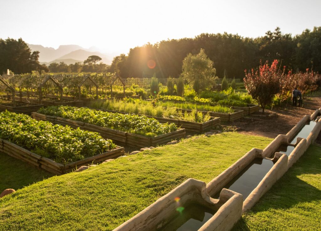 Boschendal Farm Accommodation
