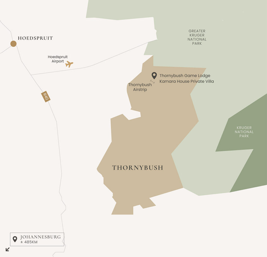 Thornybush Game Lodge