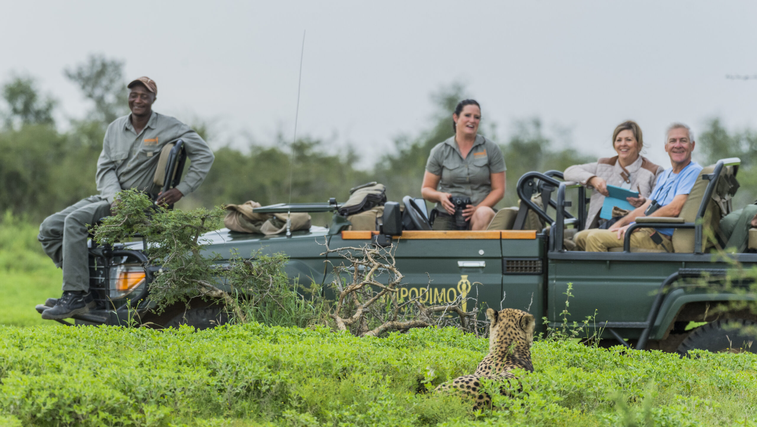 Guests and their guide watching a leopard from an open game-drive vehicle at Impodimo Game Lodge, Madikwe