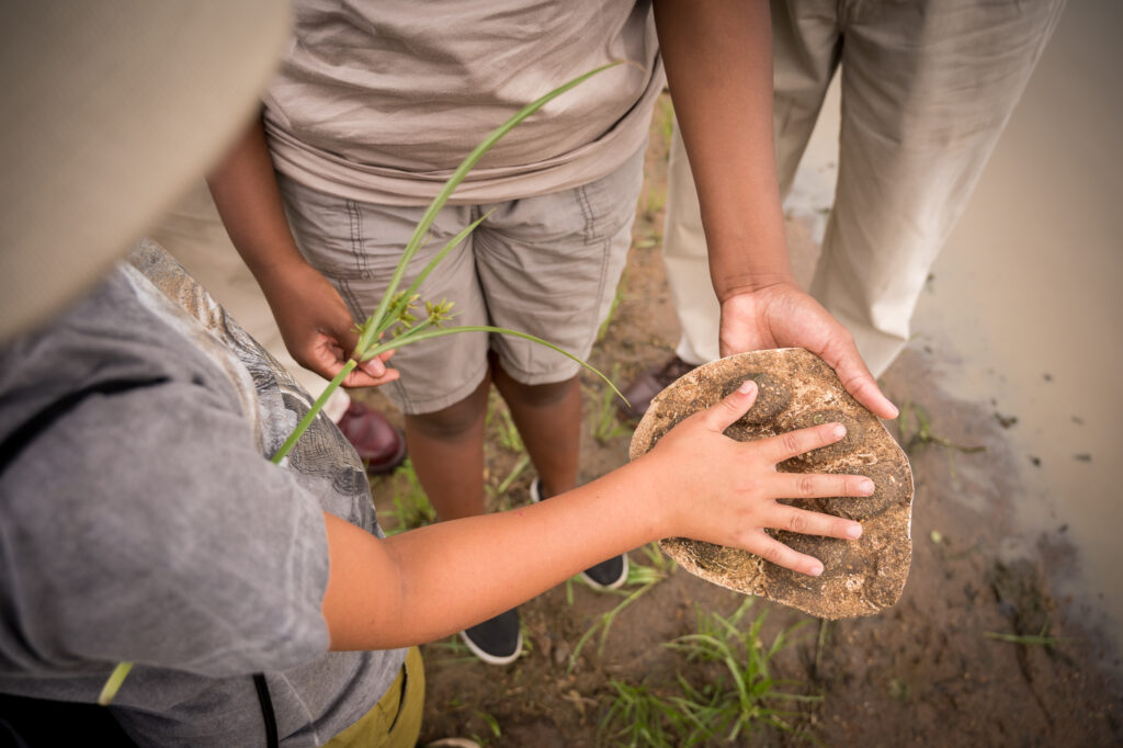Kambaku Safari Lodge — children's area