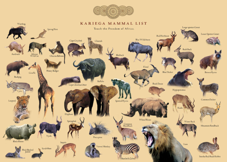 Kariega Main Lodge – Wildlife Field Guide here