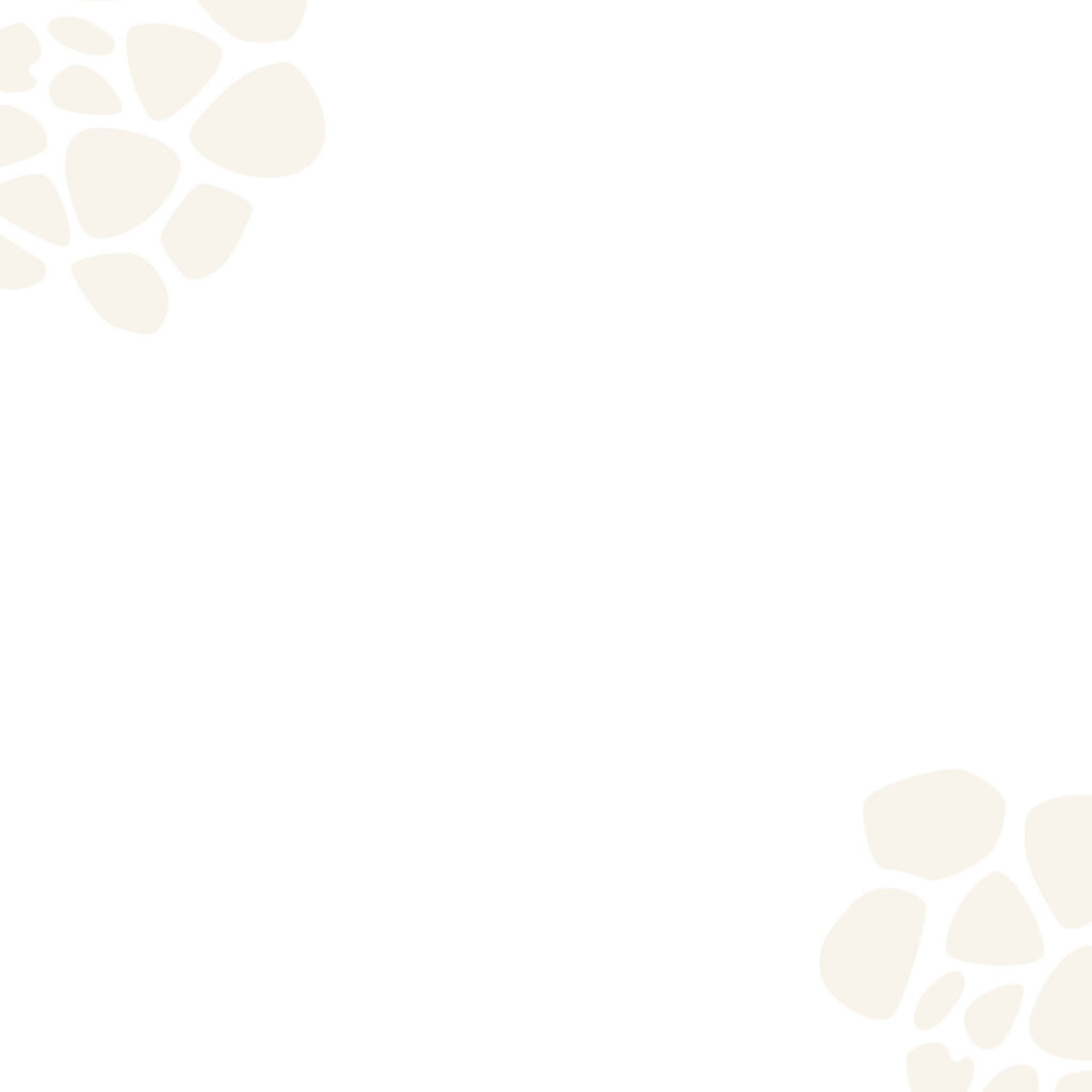 Kloofzicht Lodge & Spa — giraffe