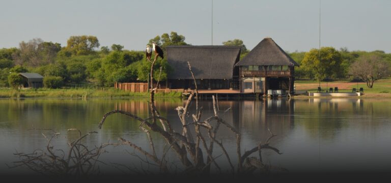 Little Mongena Tented Camp