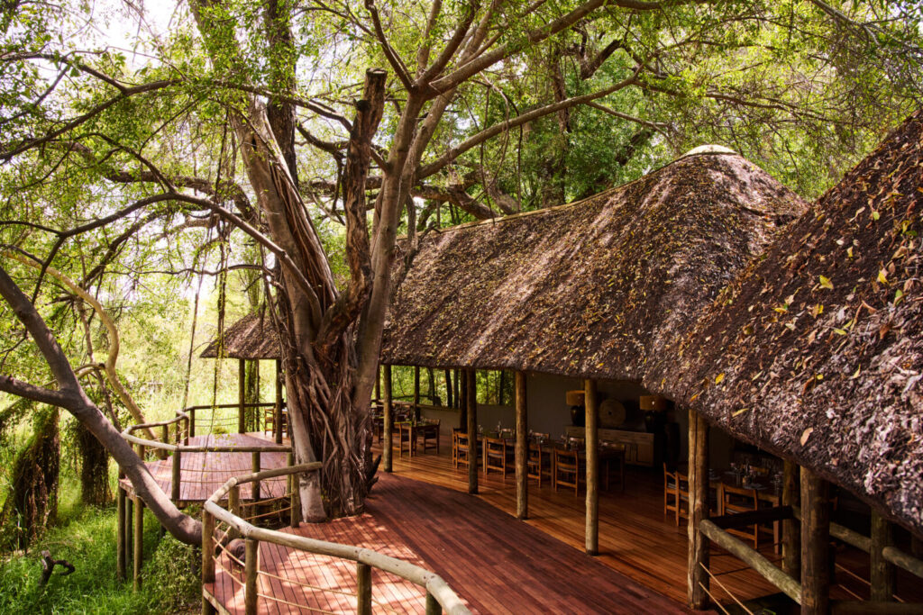Camp Moremi — dining area