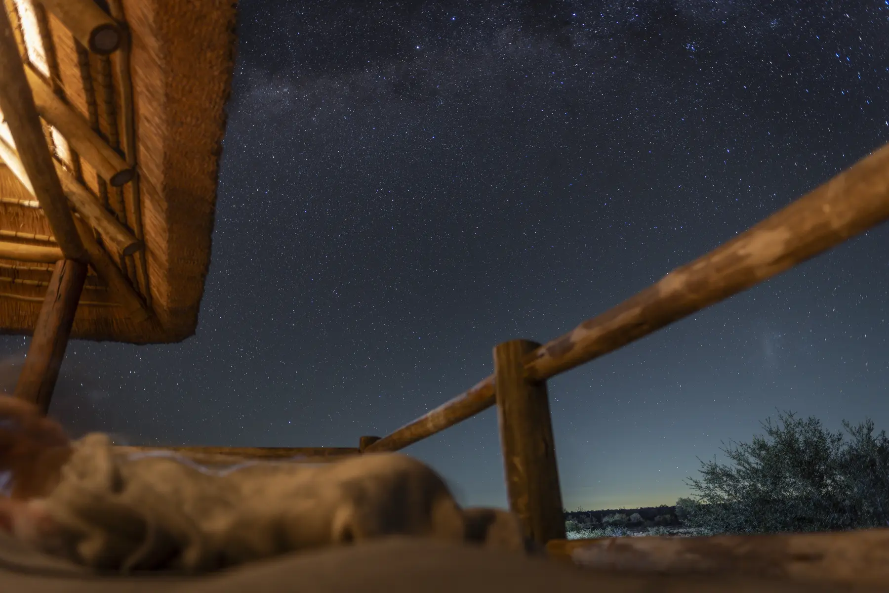 nThambo Tree Camp