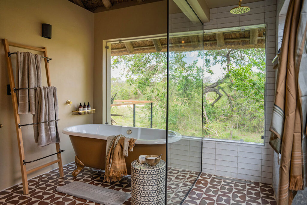 Thornybush Game Lodge — suite