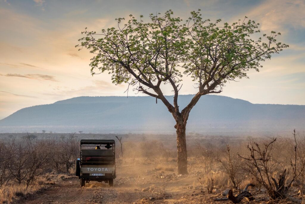 A safari vehicle at Tuningi Safari Lodge, Madikwe Game Reserve
