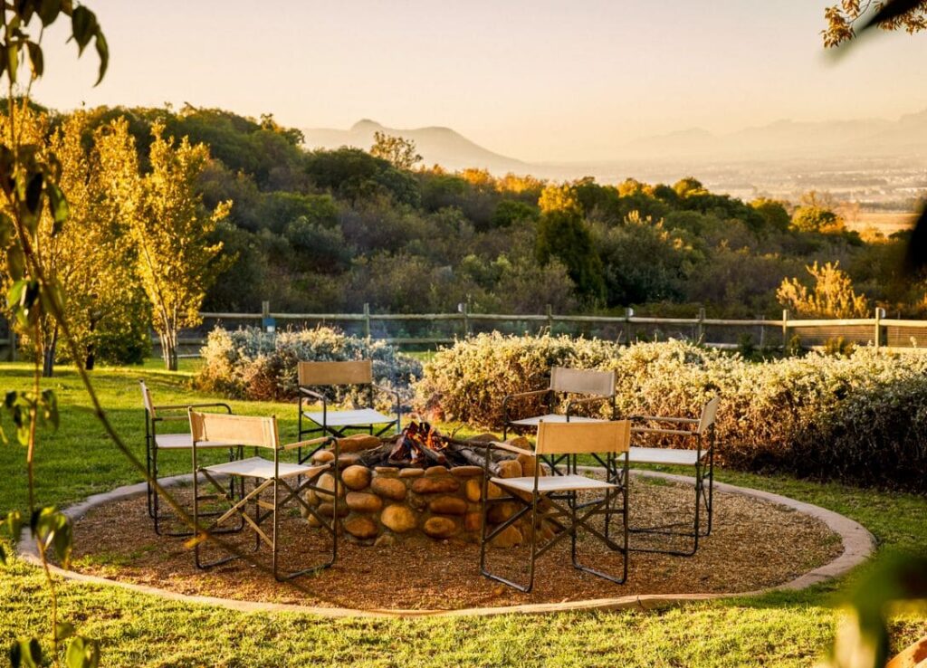 Boschendal Farm Accommodation — vineyard