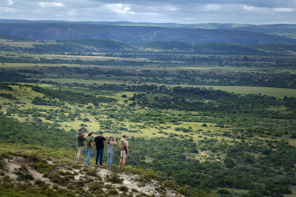 A walking safari above the valley at Shamwari Private Game Reserve, Eastern Cape