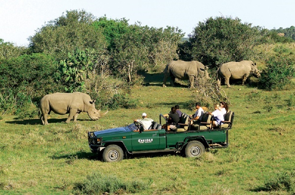 Kariega Main Lodge — game drive, viewing deck, rhino