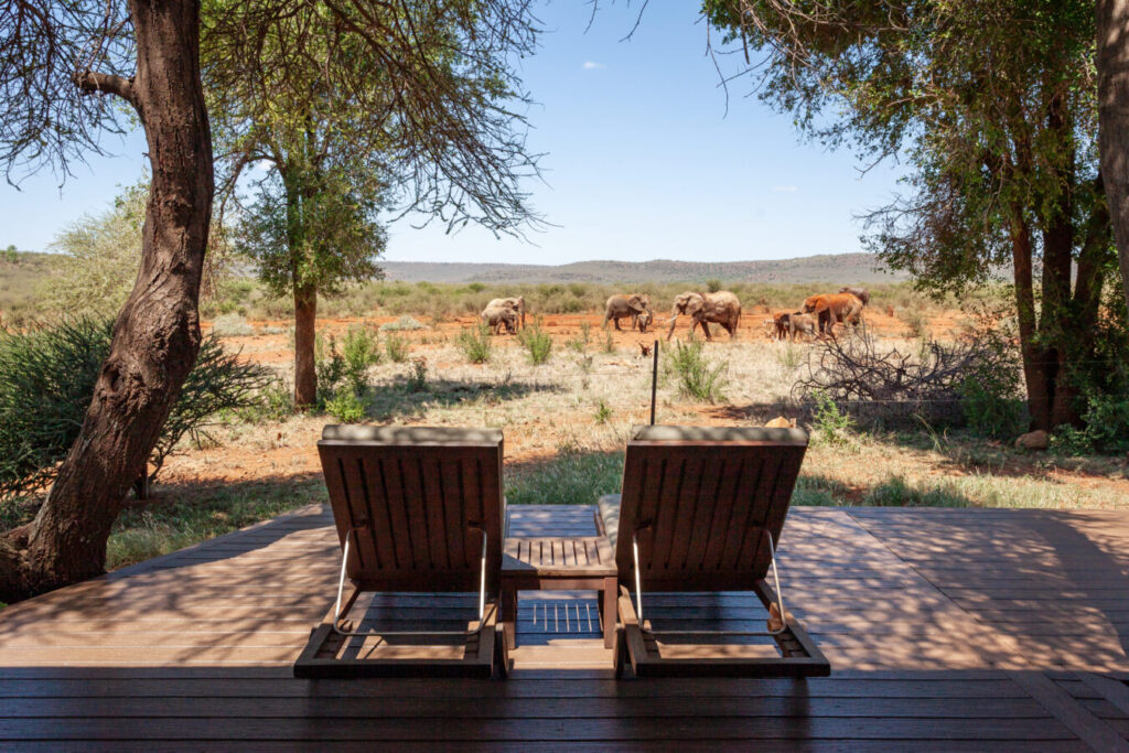 Madikwe Hills Private Game Lodge — room