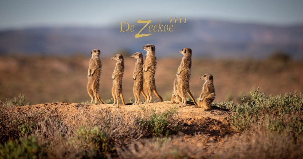 De Zeekoe Guest Farm — family