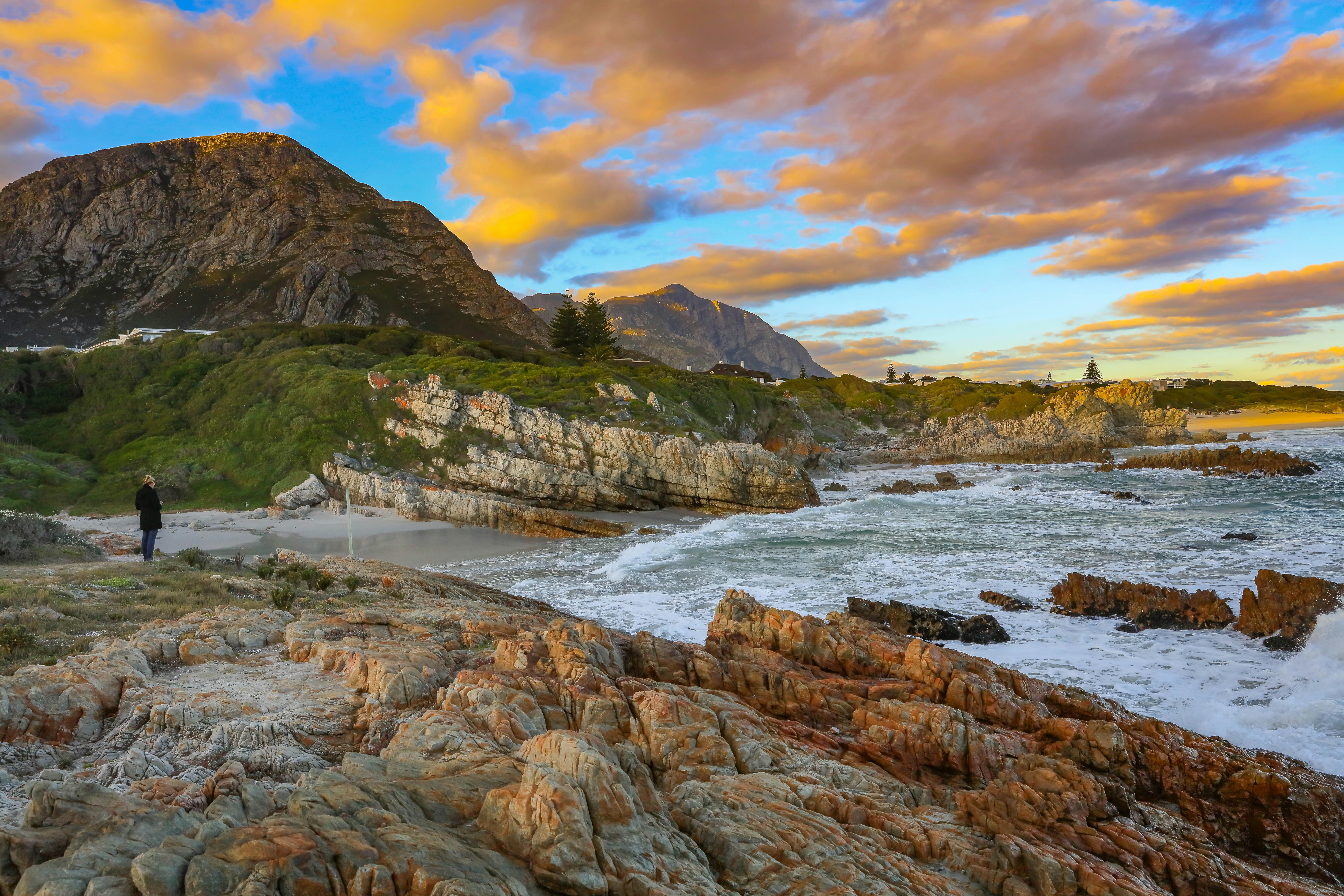 Full Day Hermanus Tour