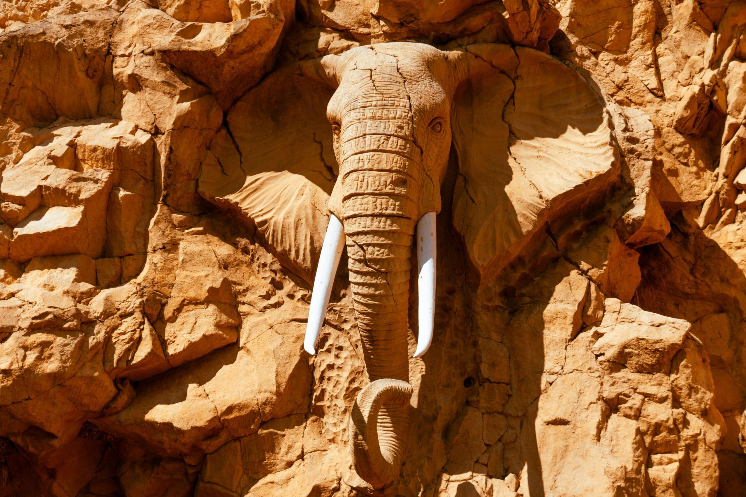 Sun City Day Tour
