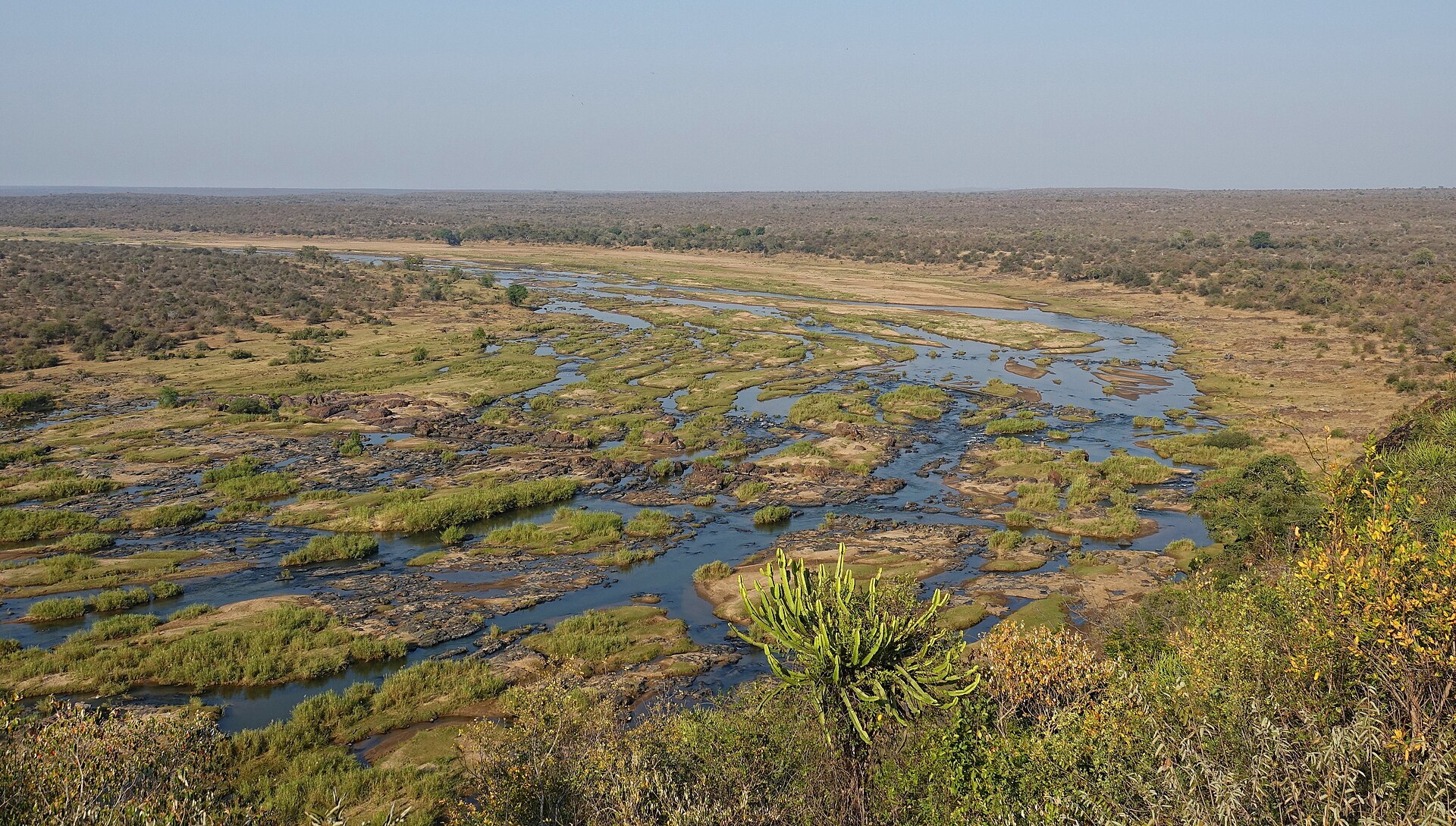 Kruger National Park landscape and wildlife