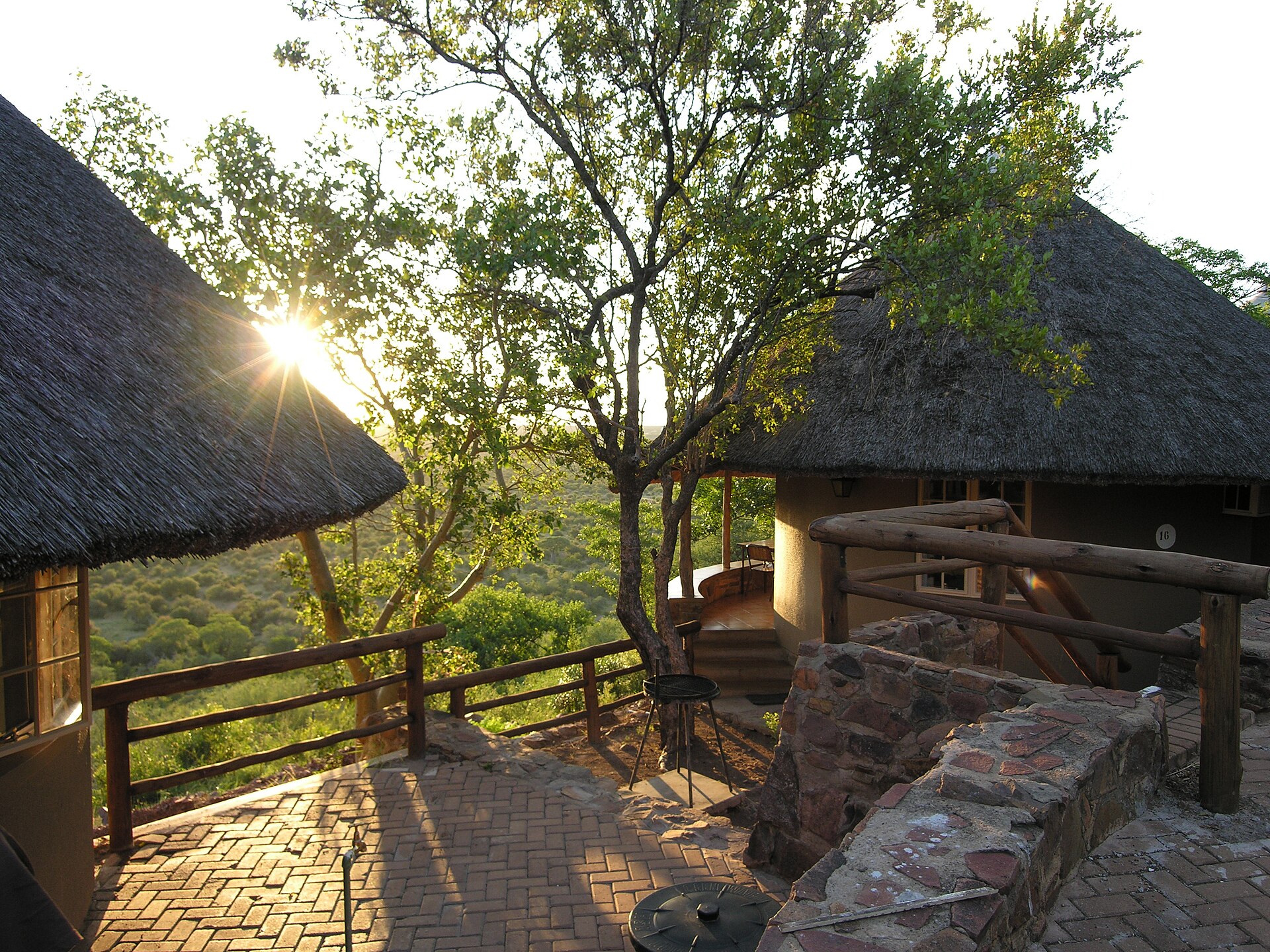 Thatched safari chalets in low evening light