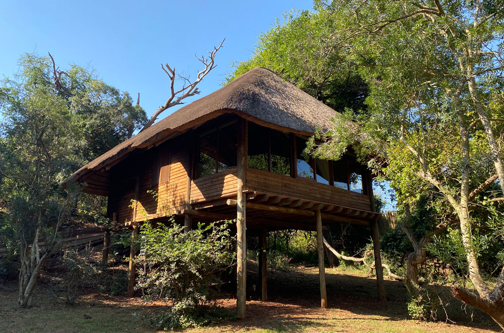Ubizane Zululand Tree Lodge — family
