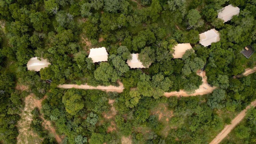 Aerial view of Kapama Buffalo Camp tents among dense trees