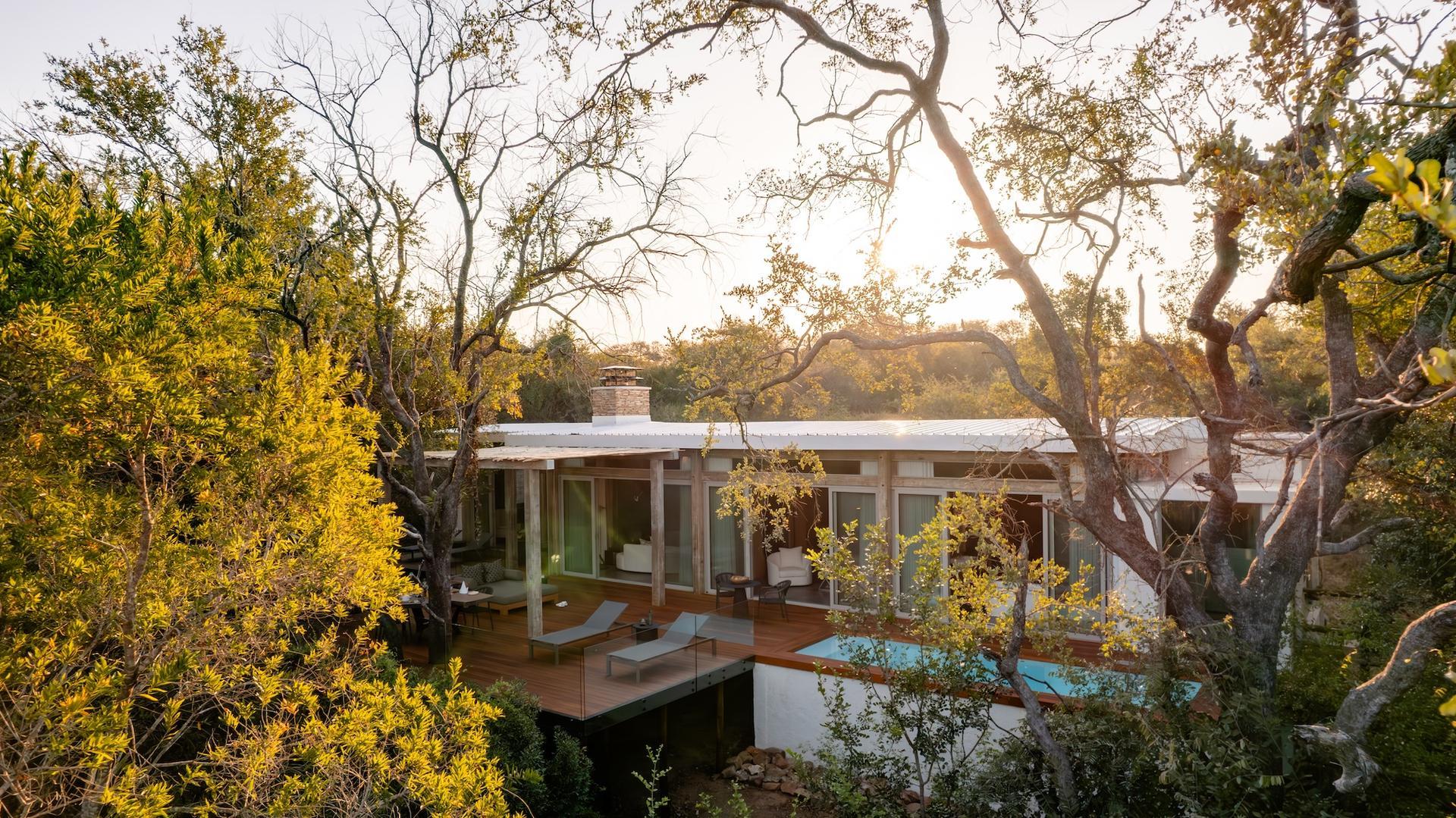 Kapama Karula family villa with deck and plunge pool among tall trees at sunset