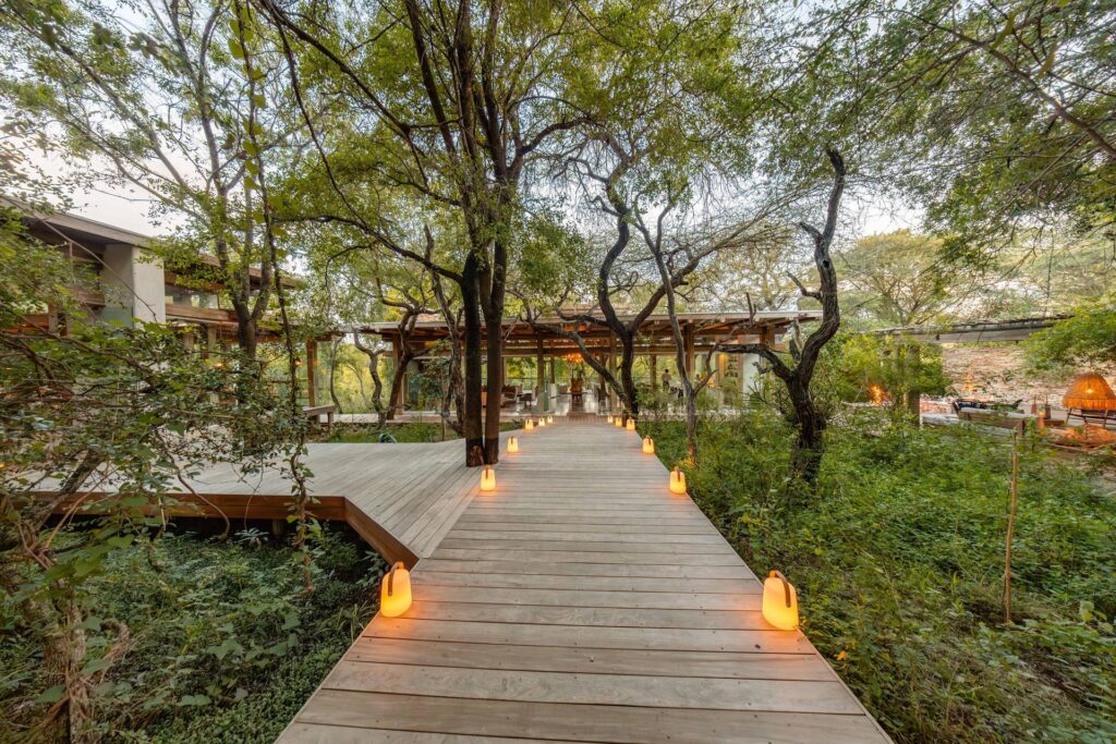 Lantern-lit timber walkway through the trees at Kapama Karula