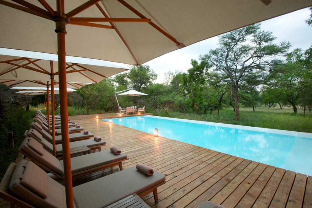 Kapama Southern Camp pool with umbrellas and loungers on a timber deck